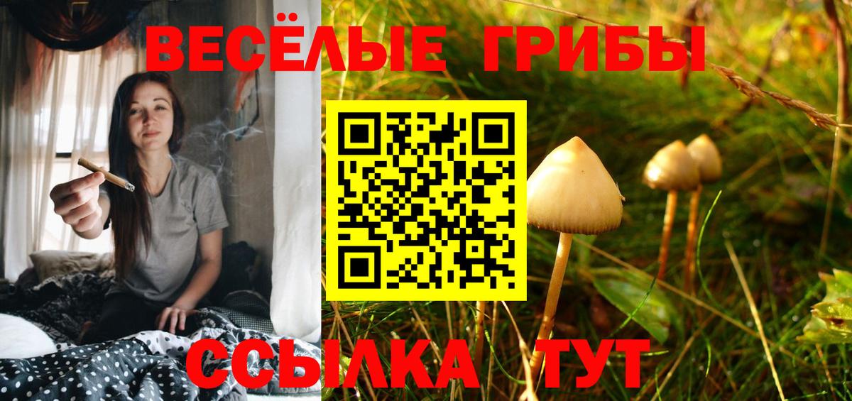 Асино  Галлюциногенные грибы ЛСД  Вход с VPN 