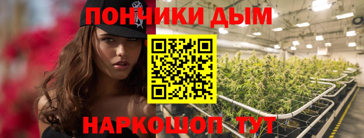 Конопля тримм  Каннабис сатива  Асино  Конопля сатива  Вход с VPN 